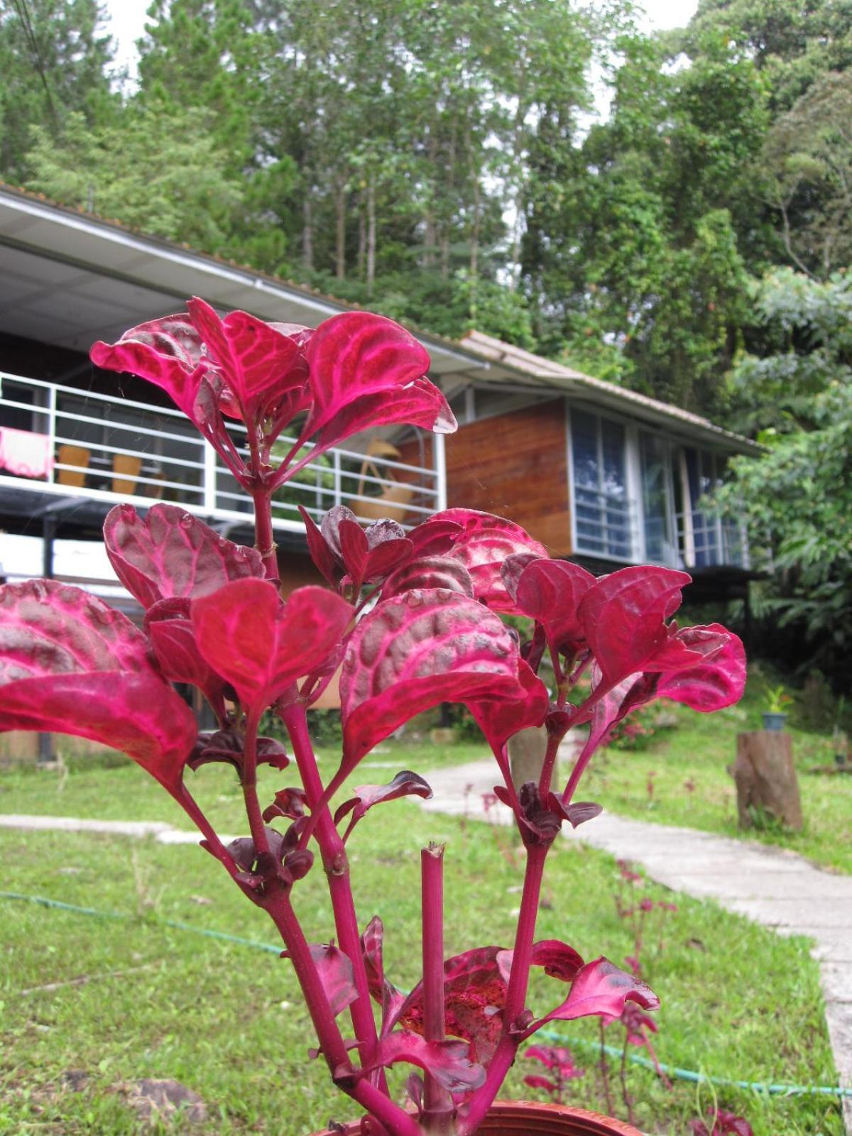 J Residence Kampong Kundassan 外观 照片